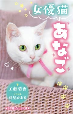 女優猫あなご