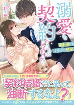 溺愛も契約のうちに入りますか?~副社長の甘やかな豹変~