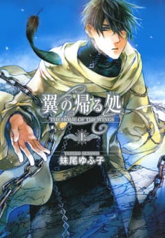 翼の帰る処
