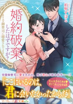 婚約破棄、したはずですが?~カリスマ御曹司に溺愛されてます~