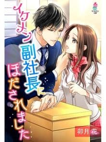 イケメン副社長にほだされました