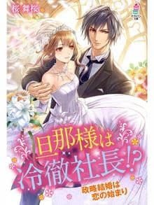 旦那様は冷徹社長!?〜政略結婚は恋の始まり〜